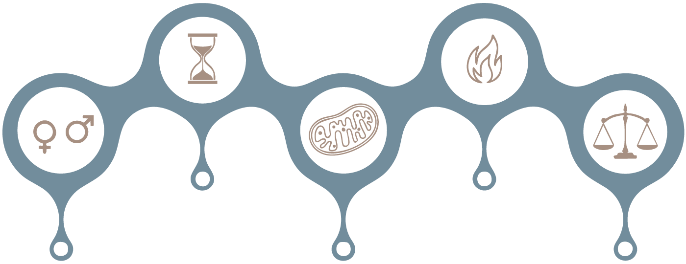 Optimal-infographic-2